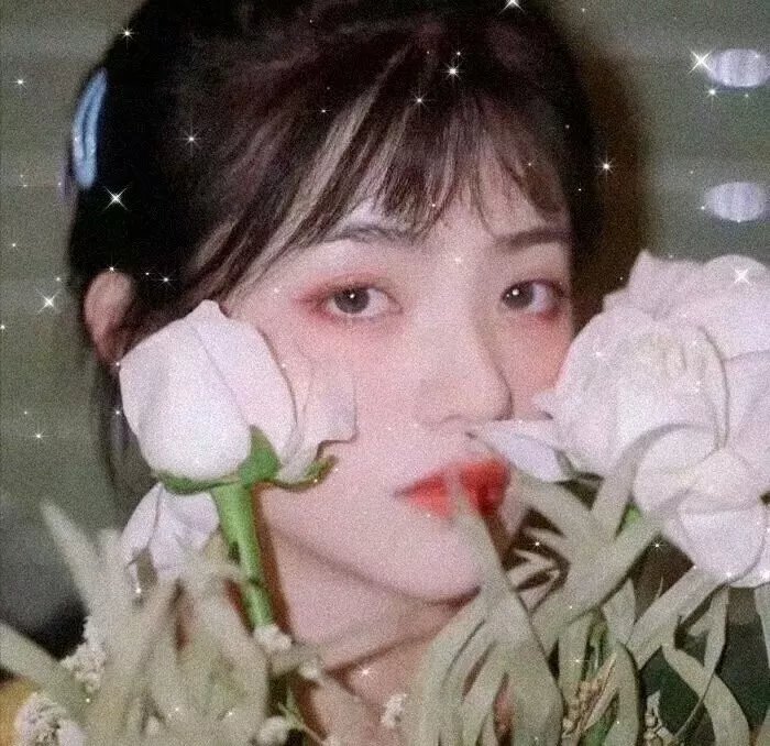 伊莎贝尔·科赛特